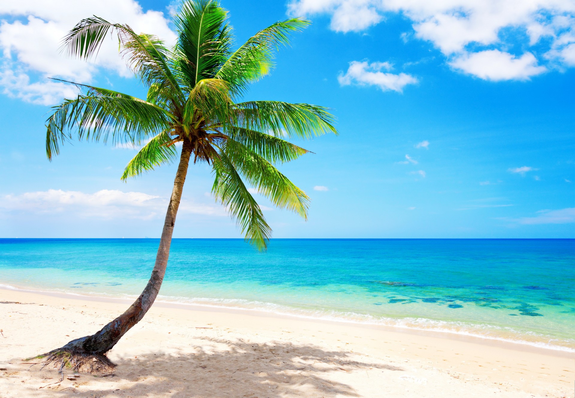 sable tropical plage été tropiques océan île côte émeraude soleil bleu mer vacances australie côte