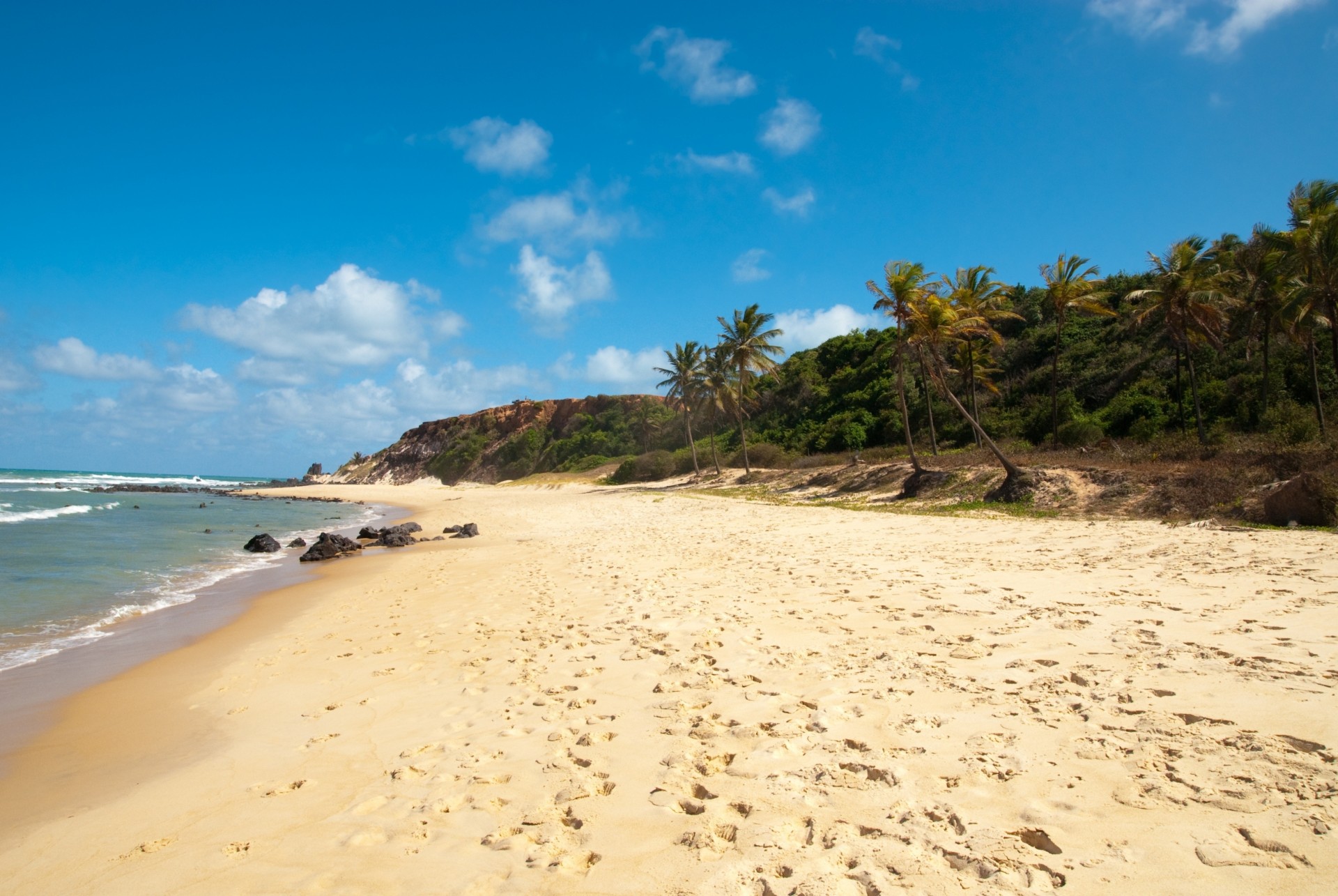 spiaggia impronte palme brasile mare chiaro sabbia