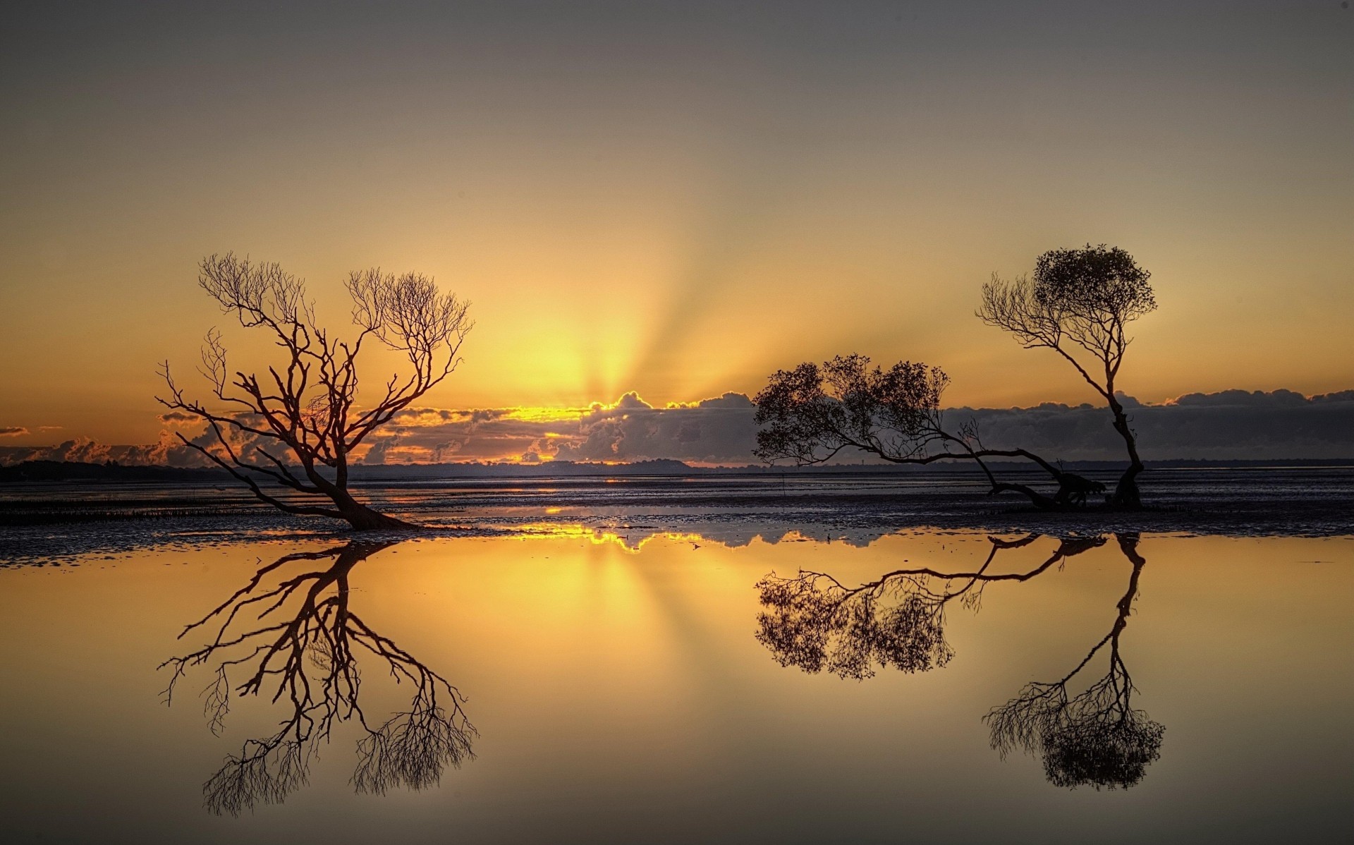 reflexión árboles puesta de sol agua