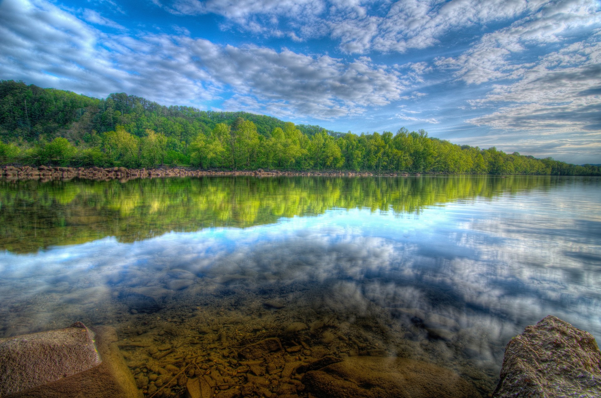 lago paisaje bosque