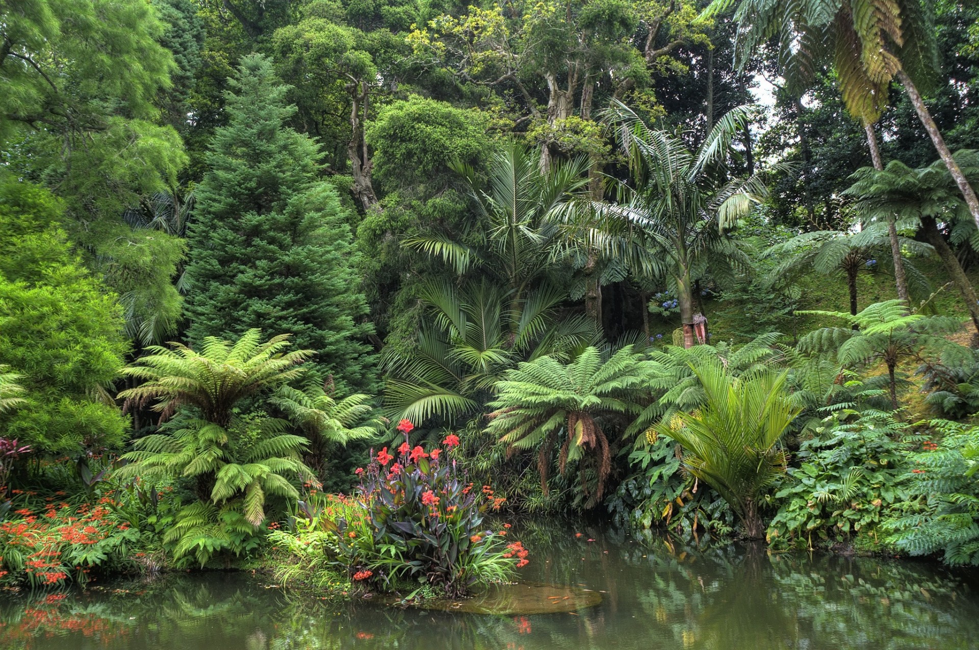 paesaggio stagno natura giardino alberi