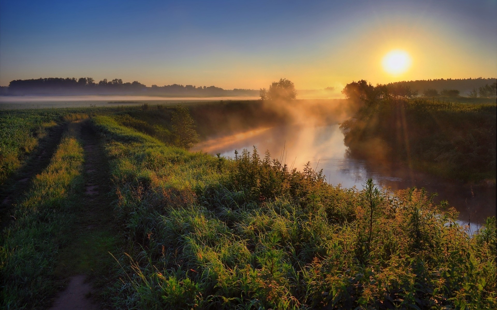 morning grass river dirt fog central park sun road haze