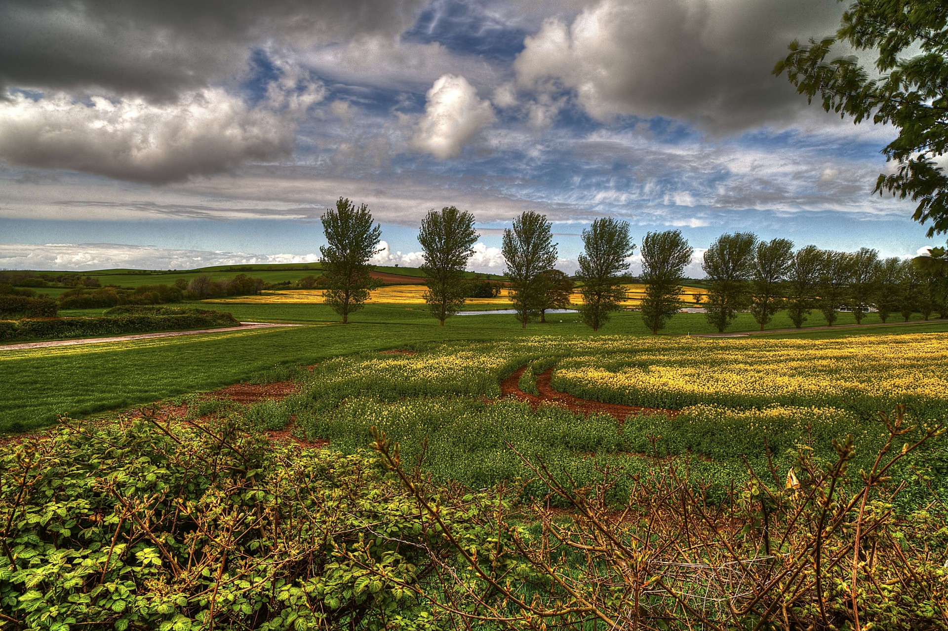 ky bush clouds flower pond tree nature tuscany landscape