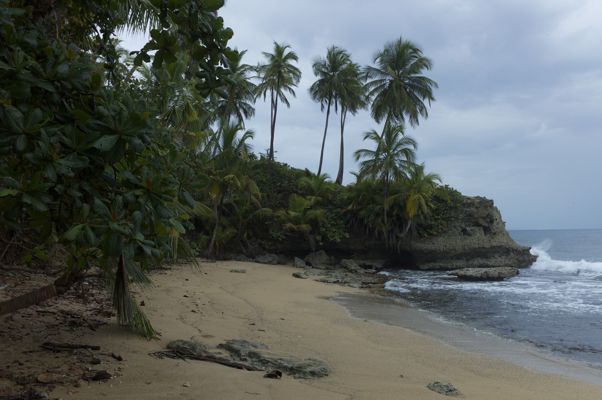 mar paisaje costa palmeras