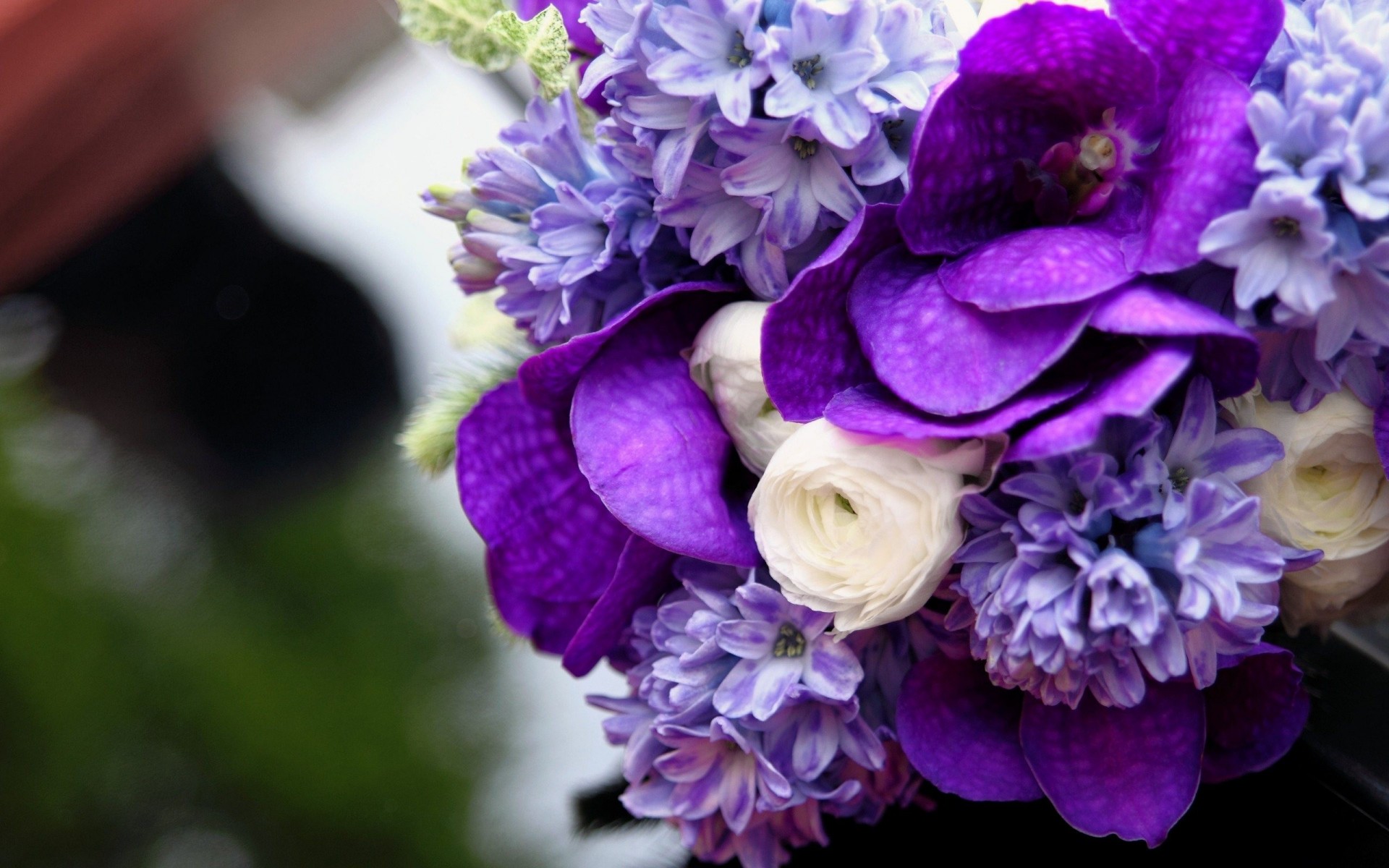 bouquet viola bello fiori