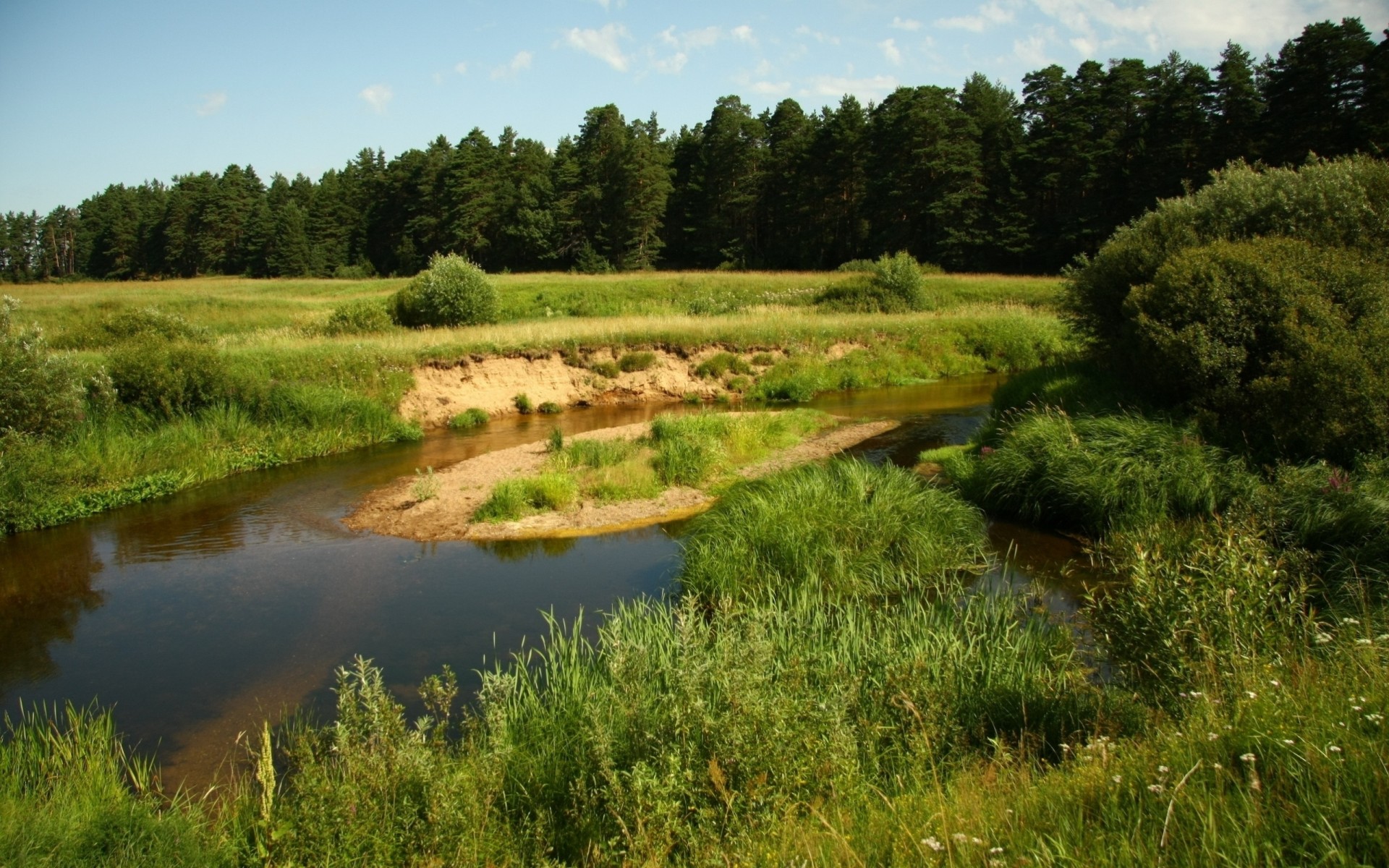 people river cupcakes forest water sky island sand blue meadow