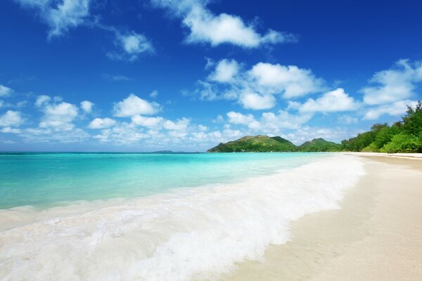 Spiaggia di sabbia con acqua blu