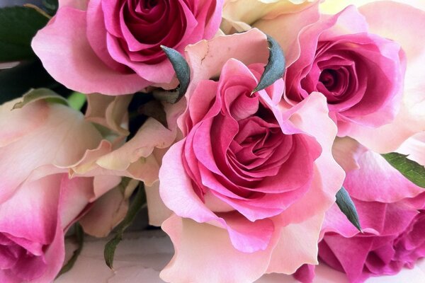 Bouquet of rose flowers with colorful petals