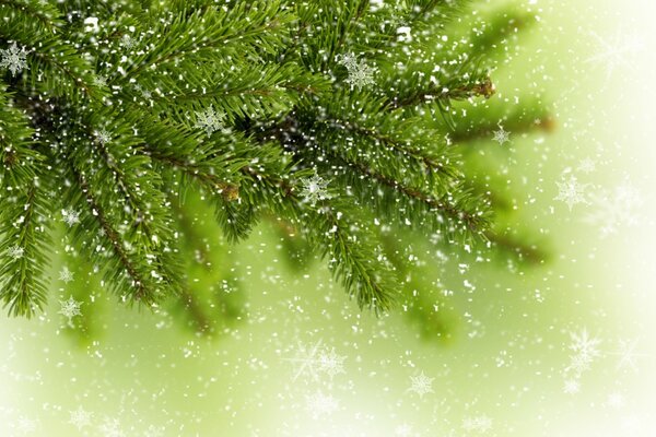 Winter-Weihnachtsbaum. Weiße Schneeflocken fliegen