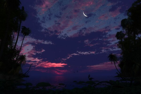 Night shore of the lake under the moon