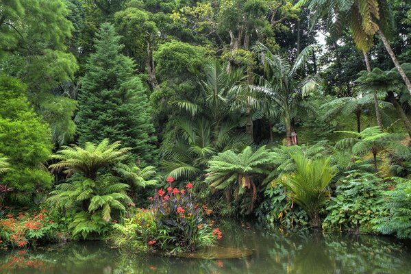 Schöner Garten mit Teich und Bäumen