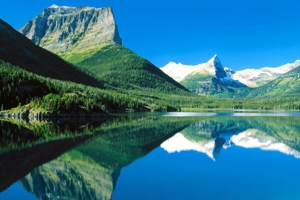 Lake Mountains Forests summer