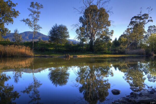 Forest landscape Mountains Lake