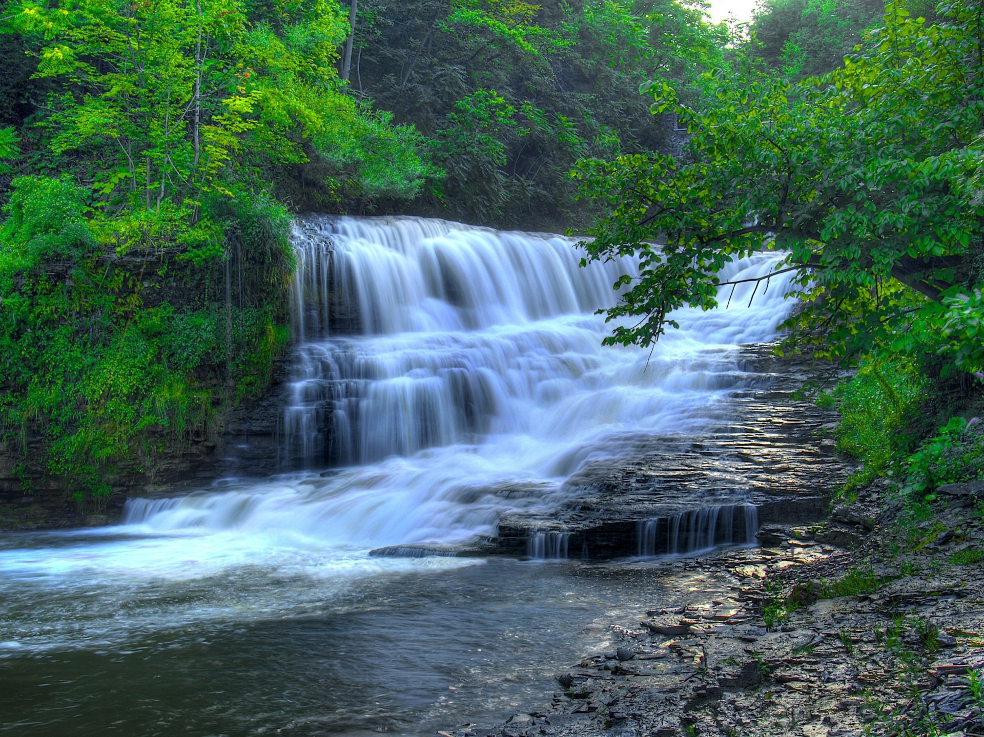 river nature waterfall tree