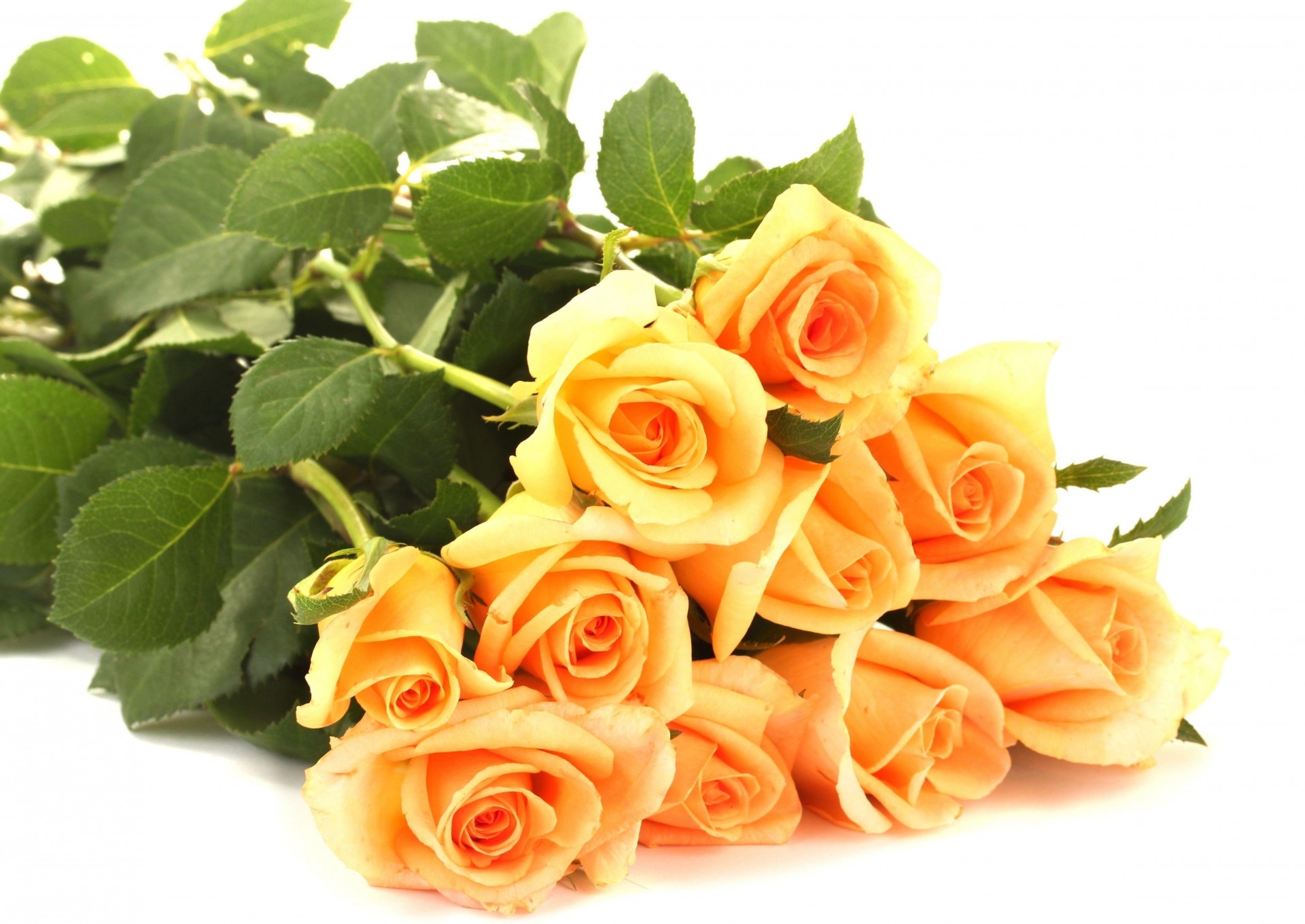 se trouvent bouquet jaune fleurs roses