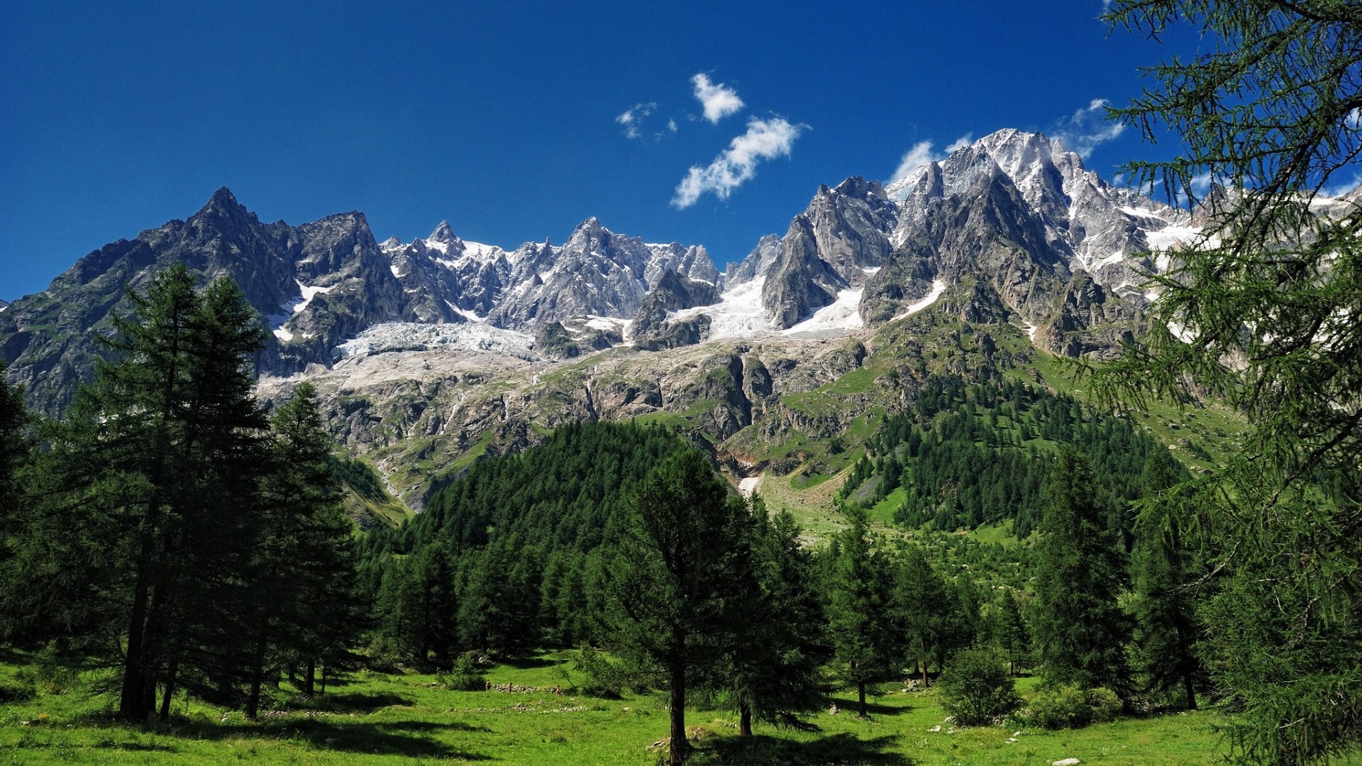 mont blanc drzewa alpy góry