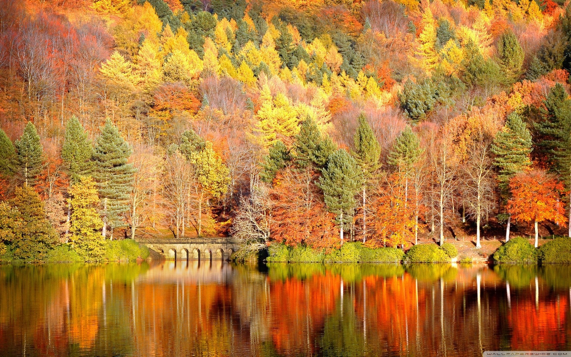 beautiful lake reflection forest autumn mountain