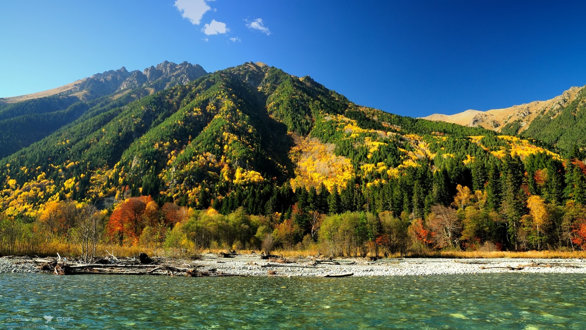 fluss wald wasser fluss herbst berge