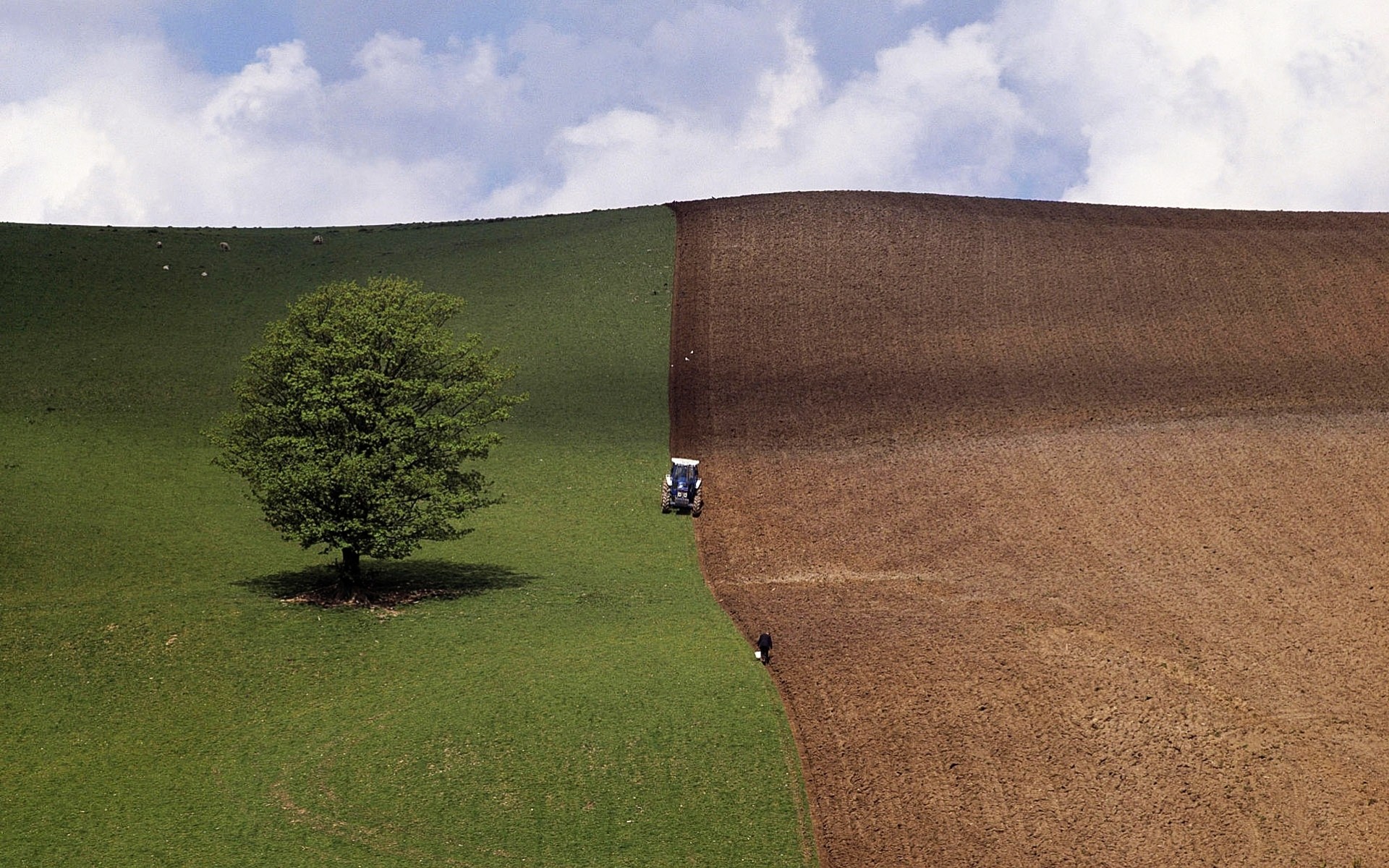 campo tractor