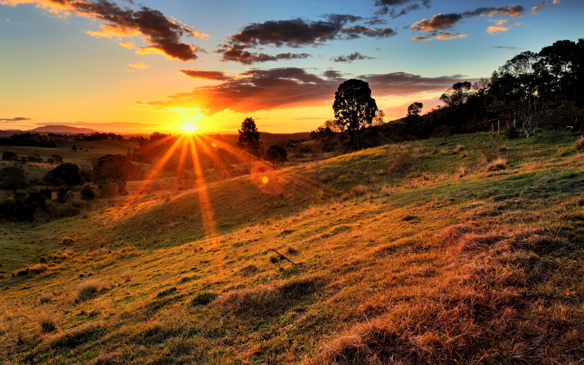 landscape sunset nature tree hills sky