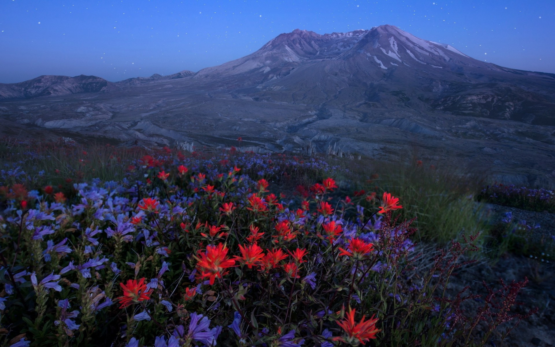 natura fiori notte cielo vulcano montagne prato