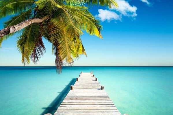 Tropical beach path to the sea