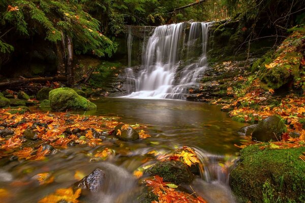 Paysage avec cascade au milieu du feuillage d automne