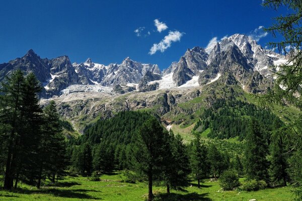 Montagne e alberi delle Alpi