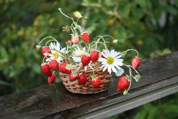 Blumenstrauß aus Erdbeeren und Gänseblümchen im Korb