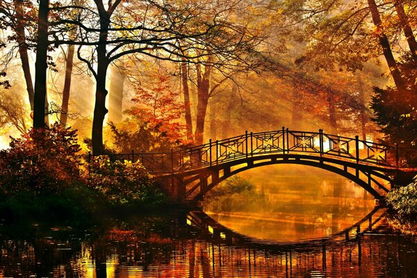 Beautiful bridge over the river in the park