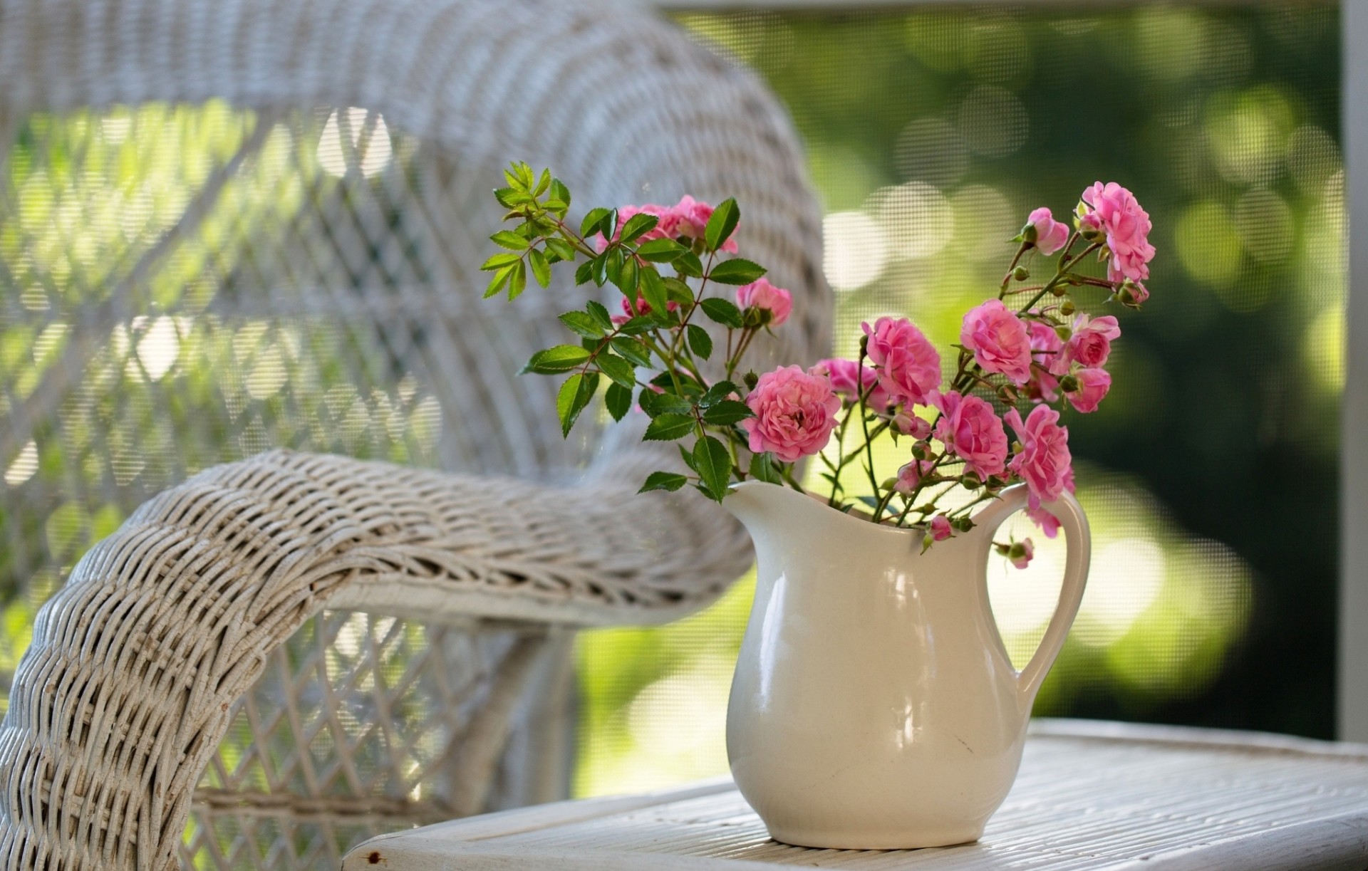 rosen natur blumen rosa krug stuhl tisch