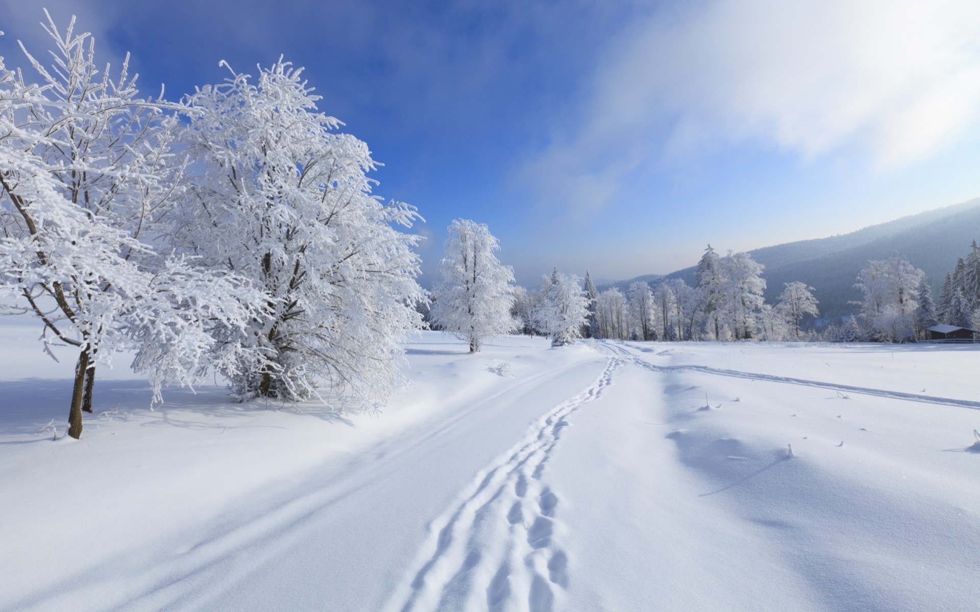 heladas nieve paisajes invierno cielo