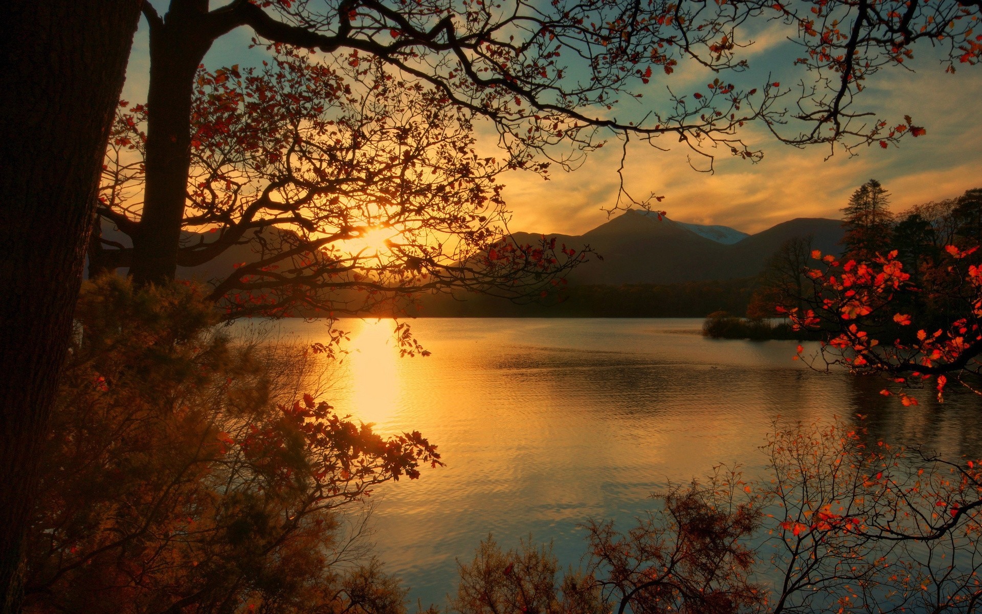 foglia lago alberi parco centrale autunno montagne