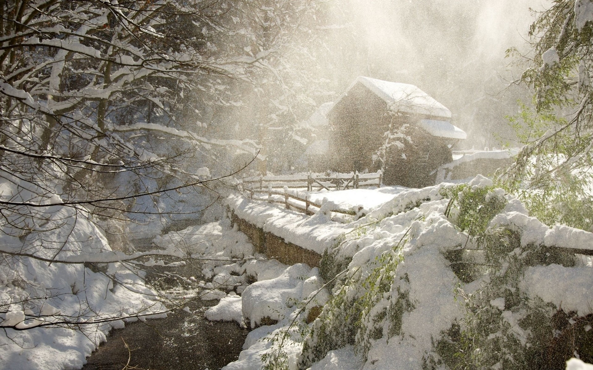 ipad fluss natur landschaft palmen cool winter iphone 5 schnee