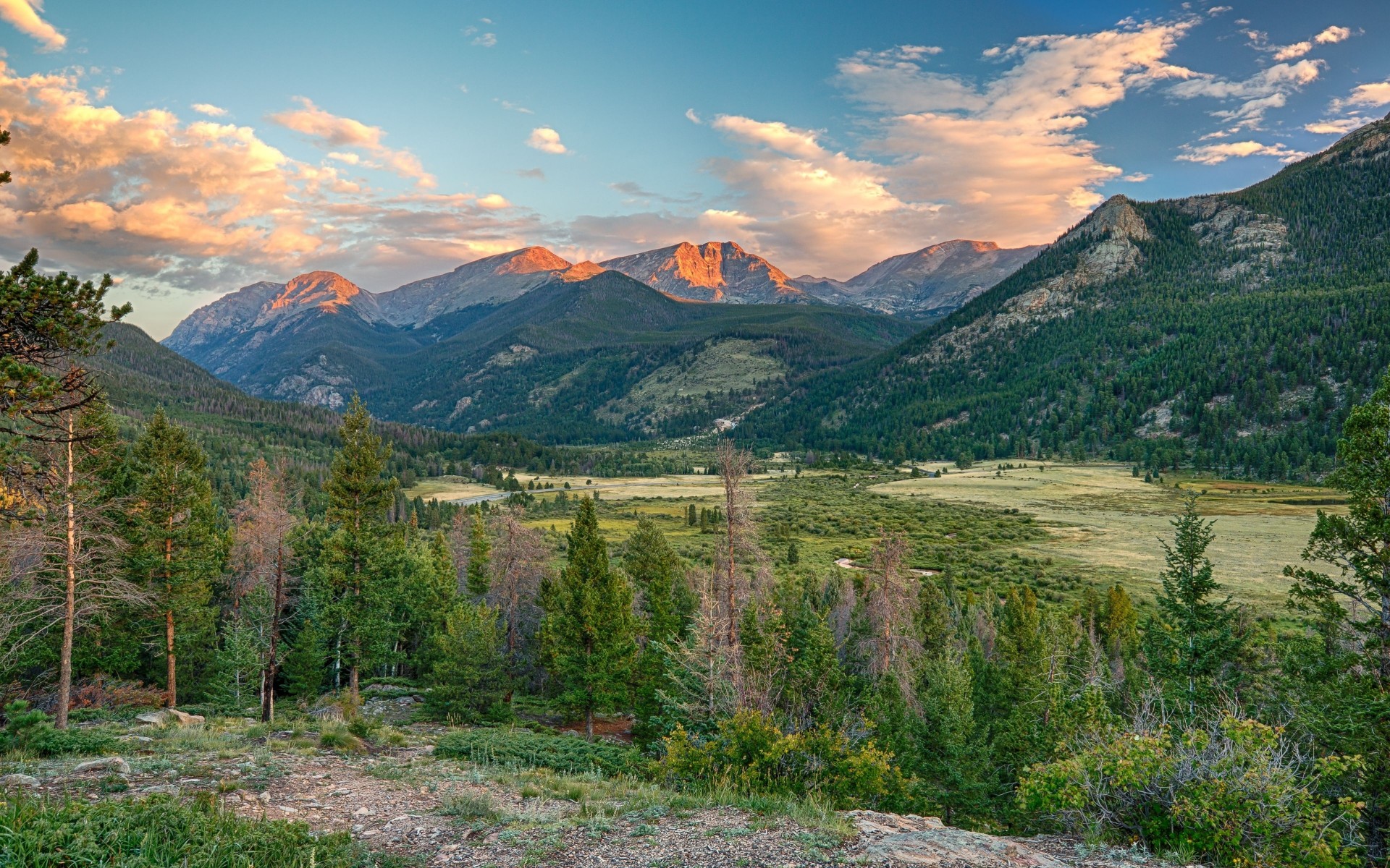 valle alberi colorado montagne