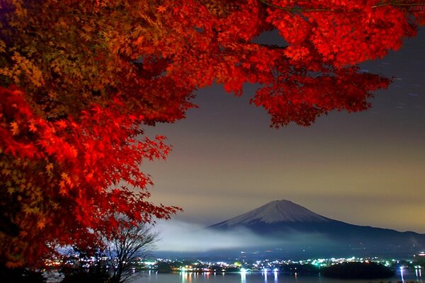 El árbol Fuji en el fondo de las montañas de la noche