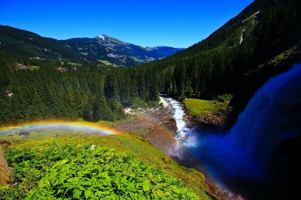 Photo of a river with a forest in the Austrian mountains