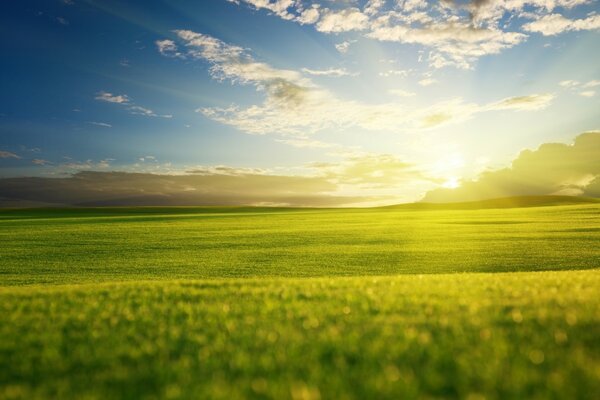 Nuages de soleil et de l herbe