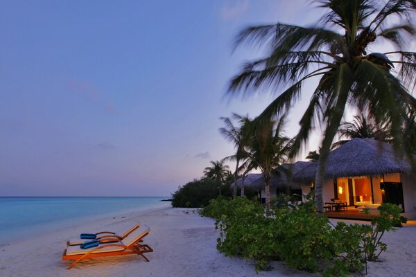 Romantic evening by the ocean