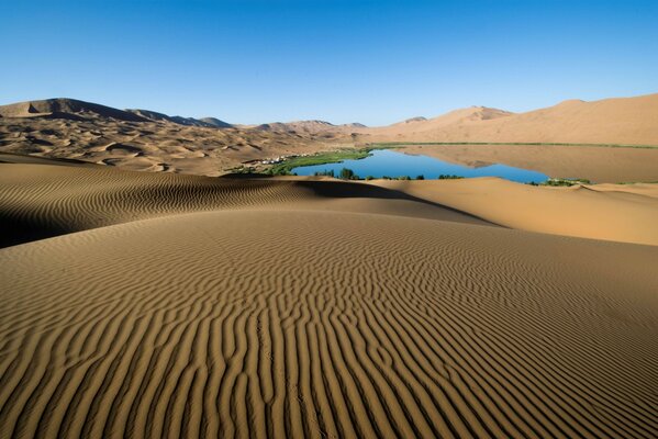 Líneas en la arena en el desierto cerca del oasis