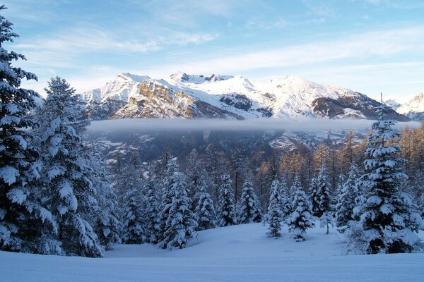 Winter fog in snowy mountains