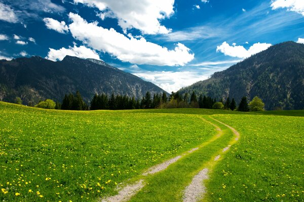 Alpine Berge und Wiesen unter klarem Himmel mit weißen Wolken