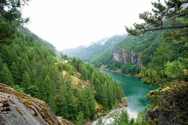 Landscape of a river flowing through the rocky mountains