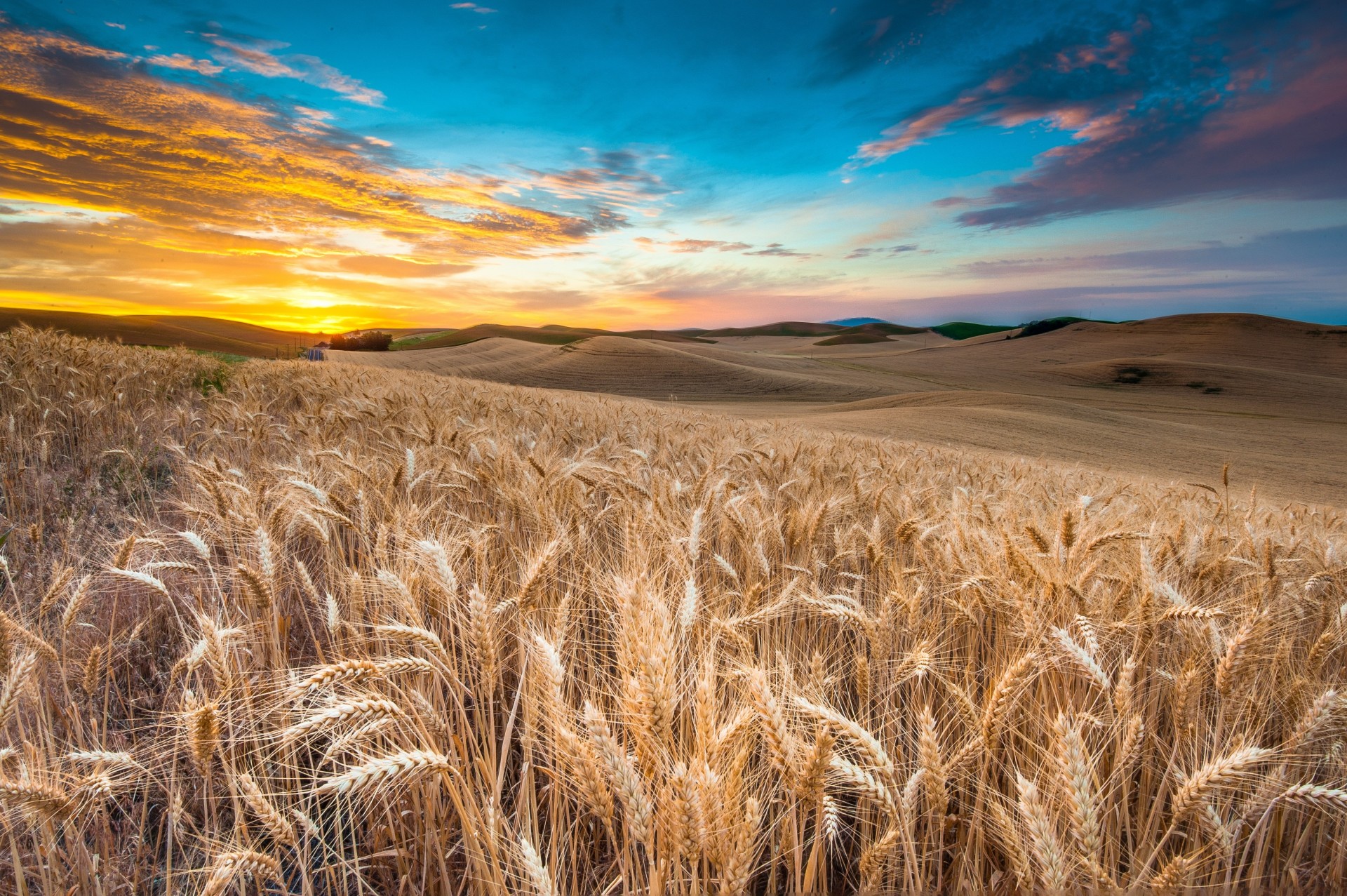 campo cielo paesaggio nuvole natura