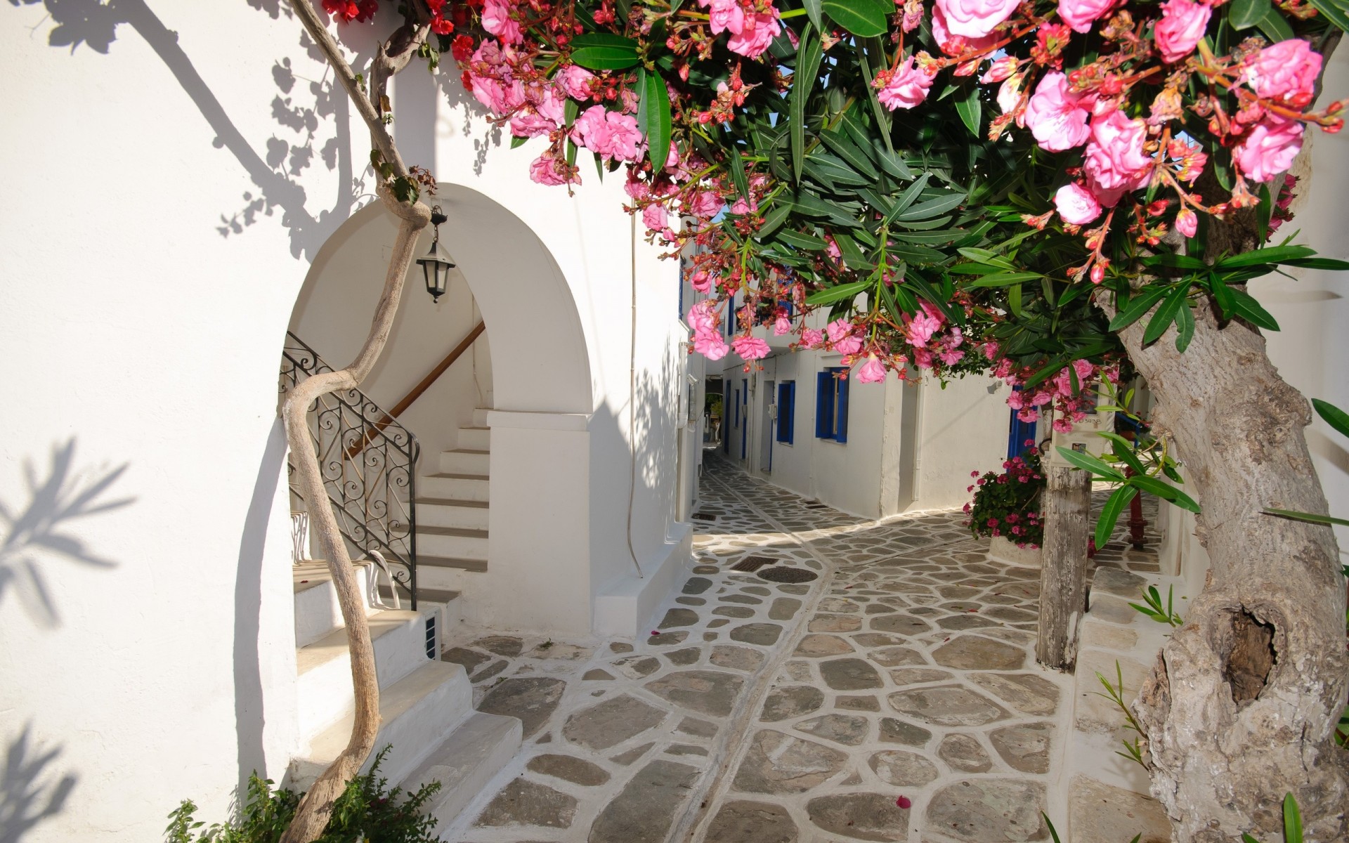 grecia case fiori santorini