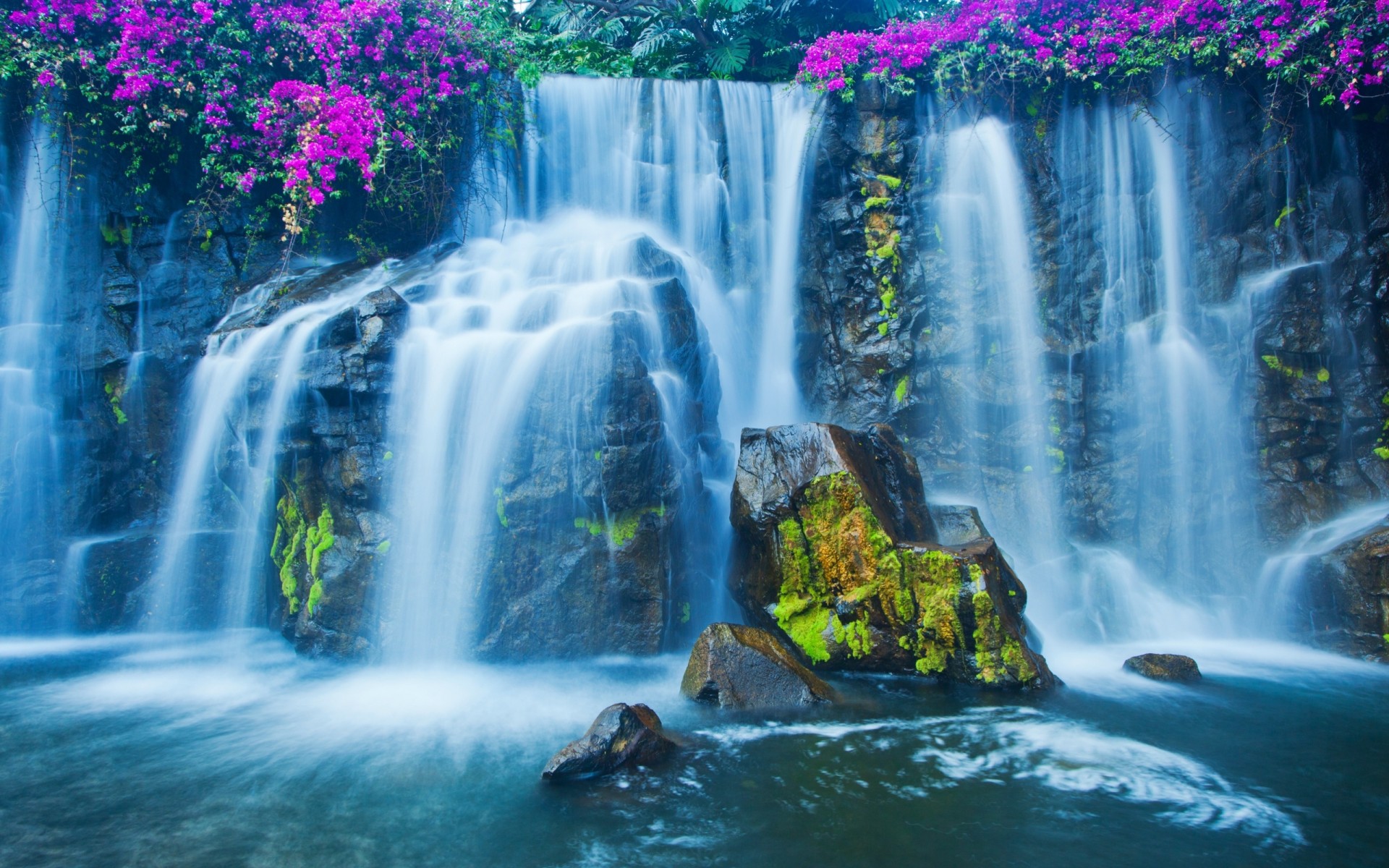 tones moss flower waterfall