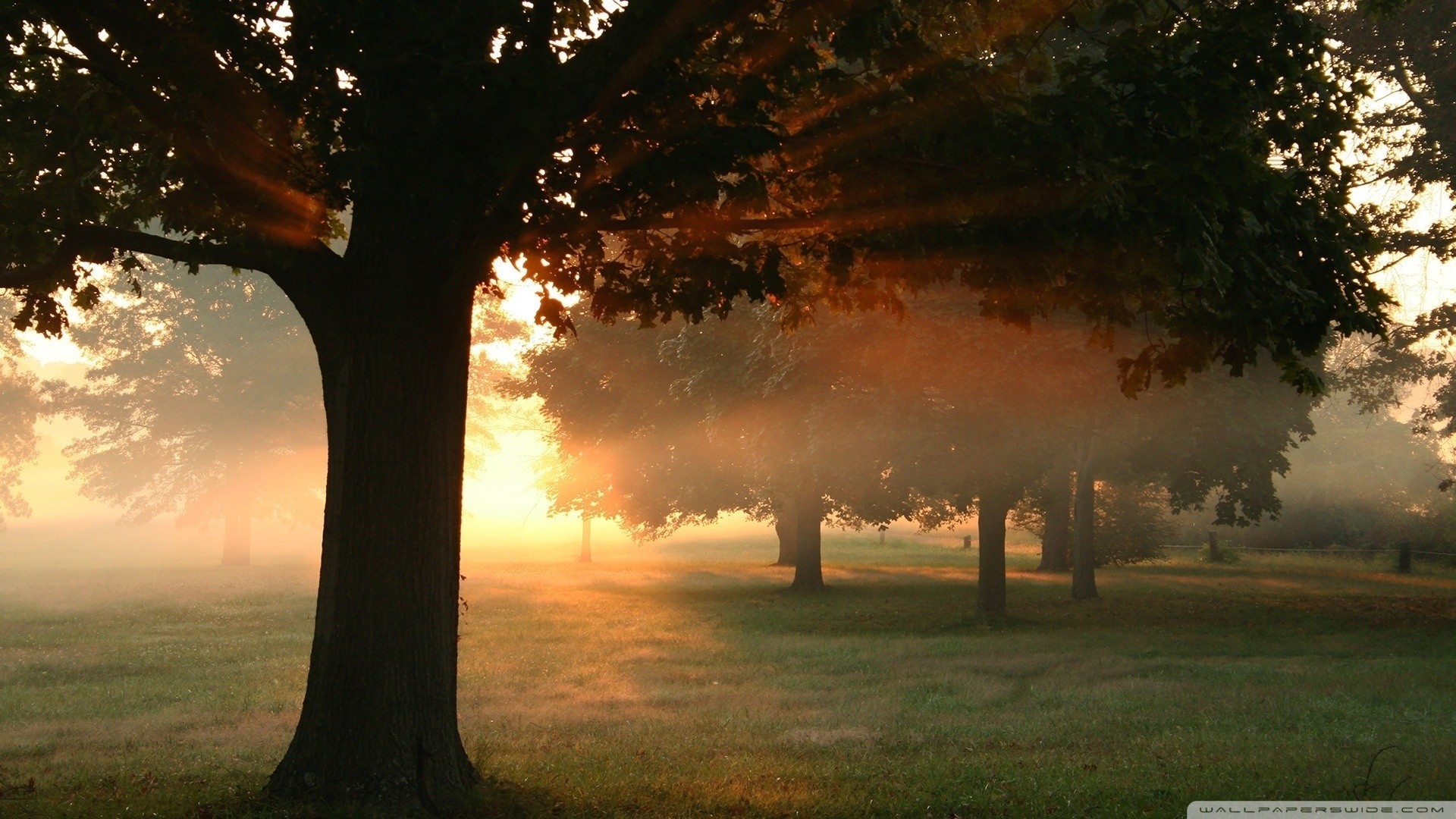 nature hd complet frais jour vintage