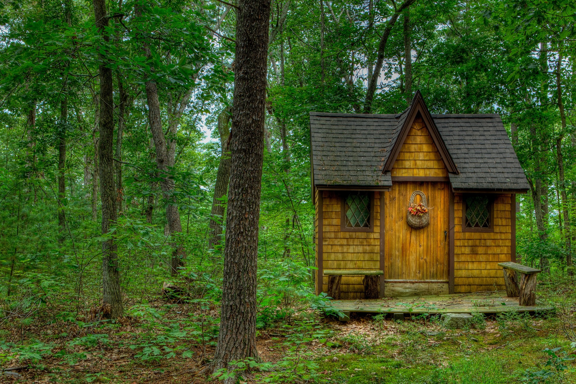 bäume landschaft wald haus natur