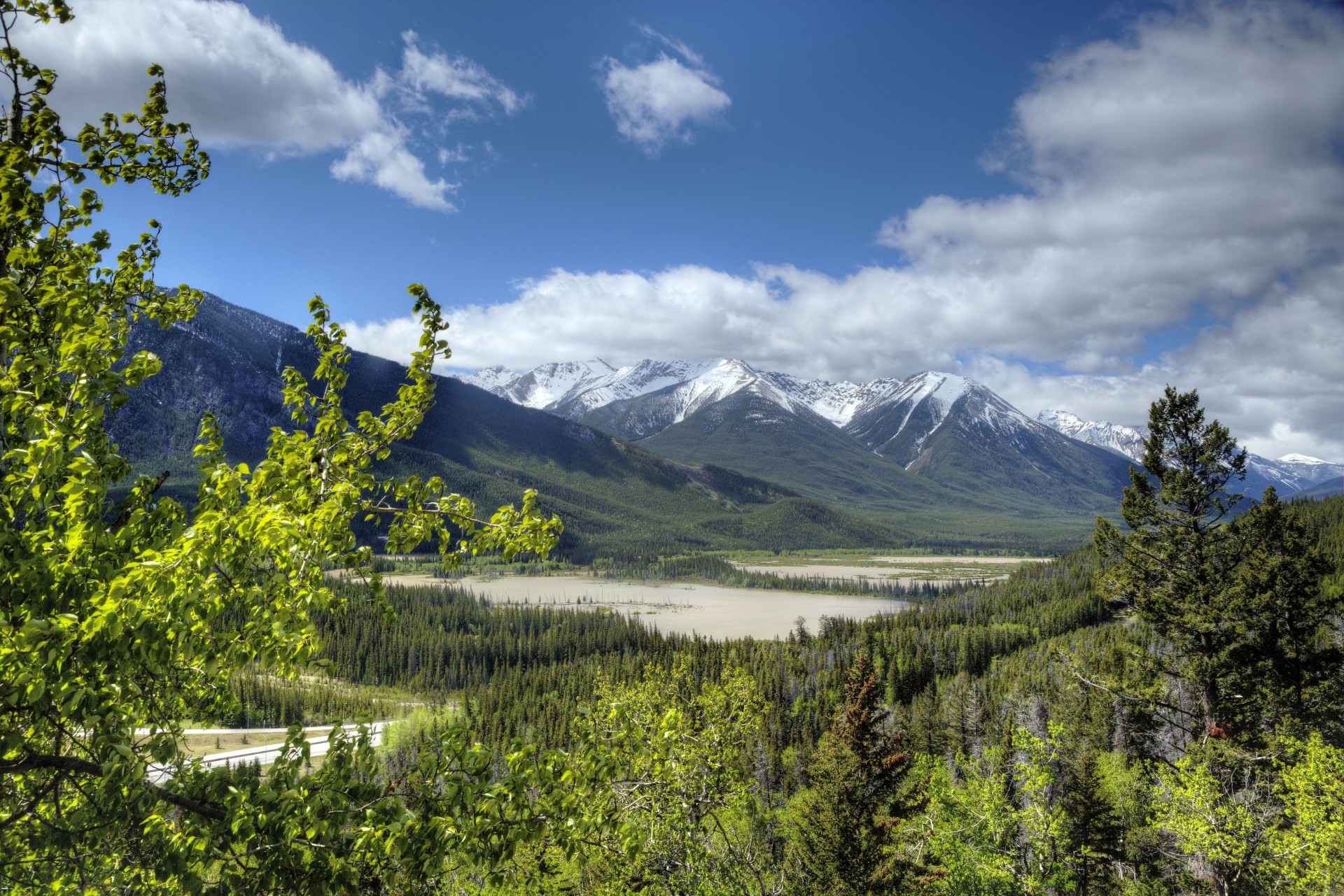 landschaft alberta wald kanada banff national park banff rocky mountains berge