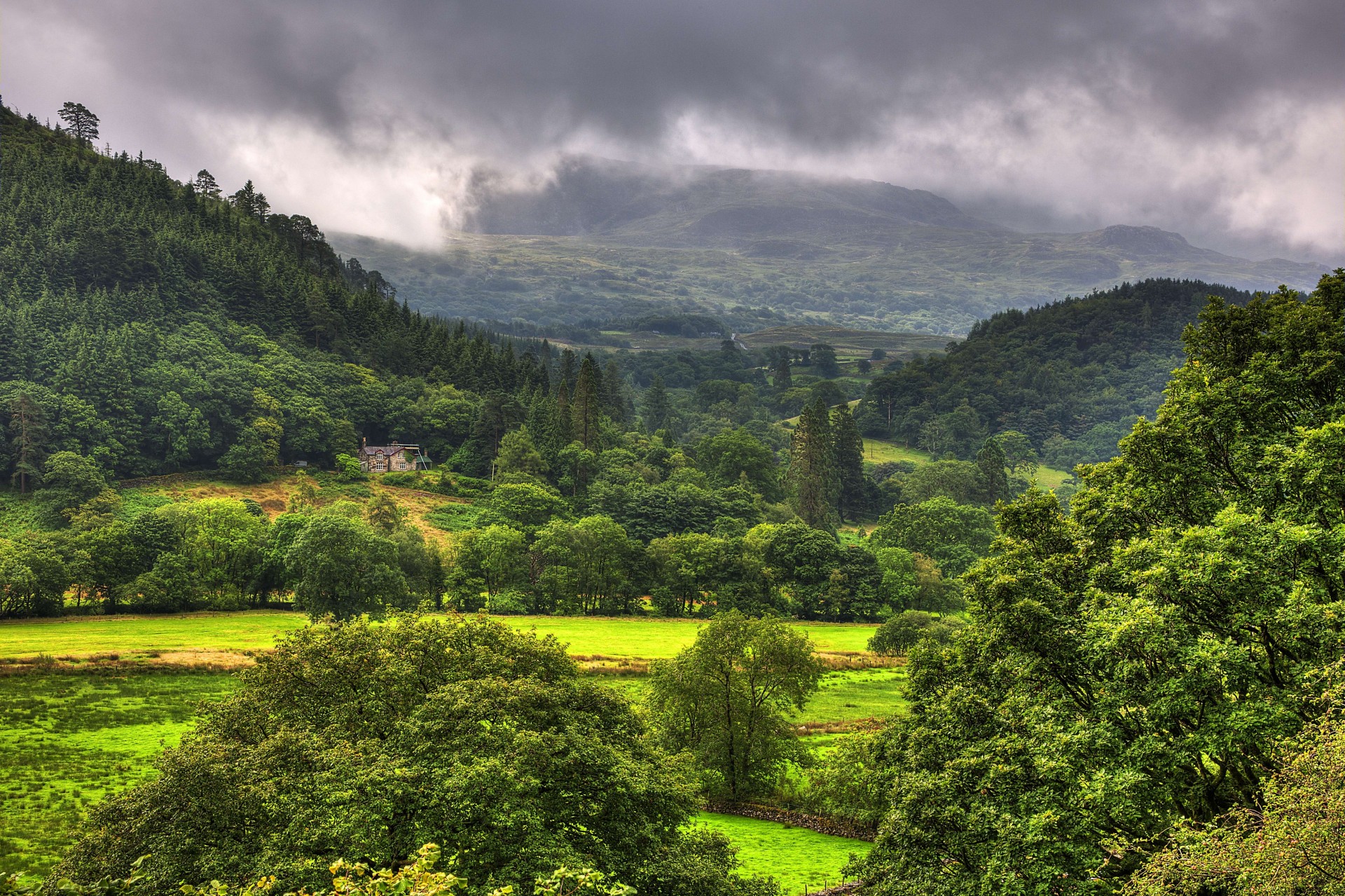 landscape hills tree united kingdom mountain snowdonia